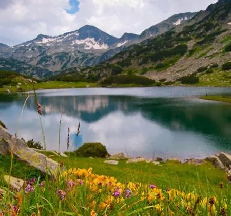 Downtown Luxury Bansko